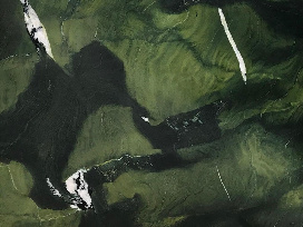 Avokatus / Авокатус (кожа) 20 мм