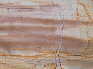 Тик Вуд / Teak Wood