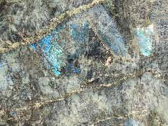 Баобаб / Baobab 20 мм