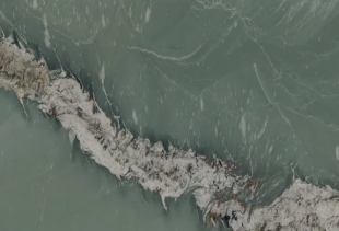 Тропикал / Tropical