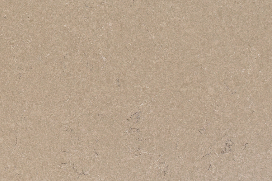 Болетус / Boletus 20 мм