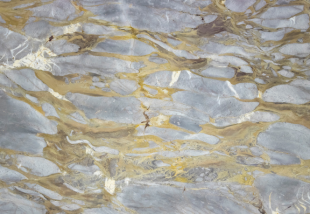 Голден Грей / Golden Grey