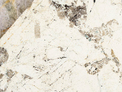 Вайт Бахамас / White Bahamas 20 мм