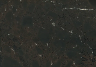 Инфинити Браун / Infinity Brown