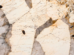 Патагония / Patagonia 20 мм