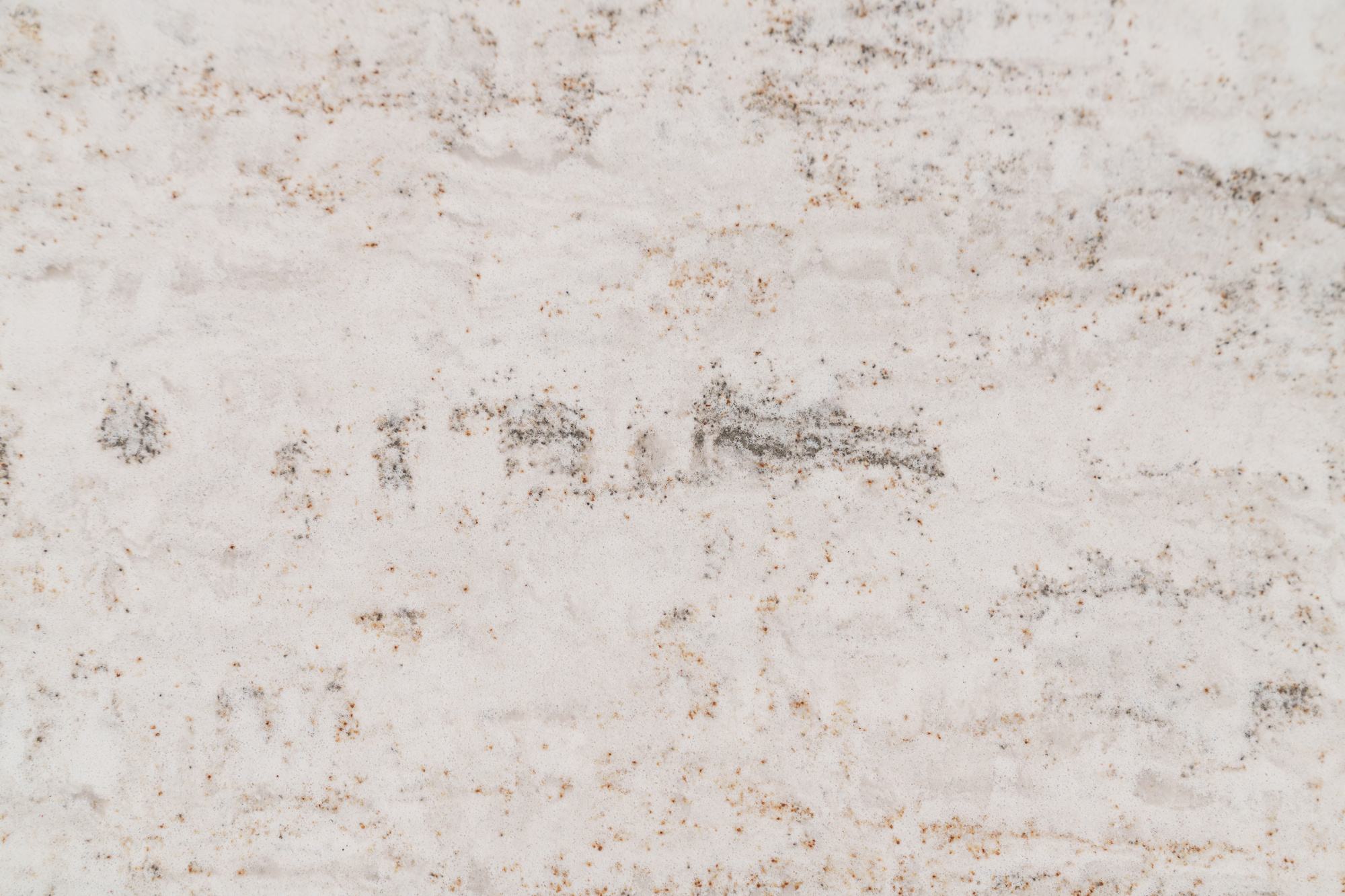 Baroque Harmony 9924