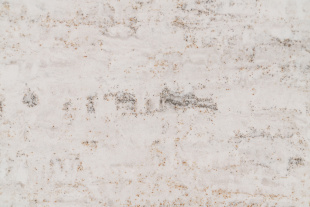 Baroque Harmony 9924