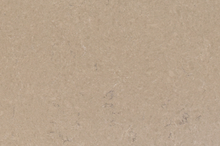 Болетус / Boletus 20 мм