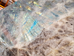 Баобаб / Baobab