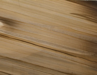 Сохо Браун / Soho Brown