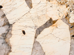 Патагония / Patagonia 20 мм