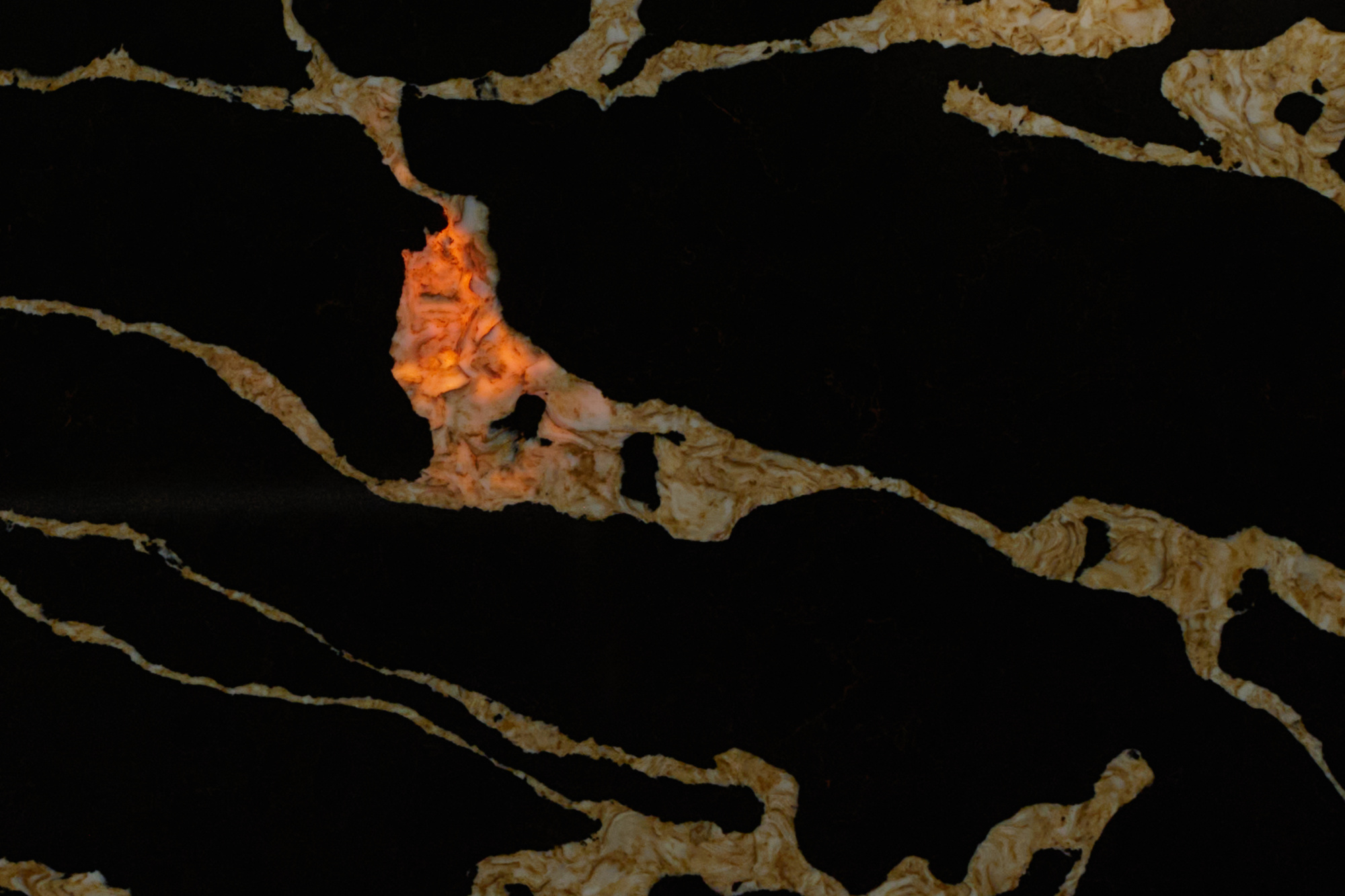 786 Calacatta Back Gold