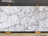 White Fusion BQ 8825 White Fusion BQ 8825