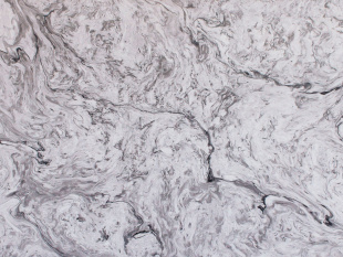 White Fusion BQ 8825