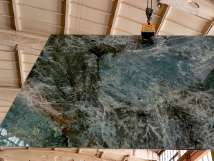 Баобаб / Baobab 20 мм