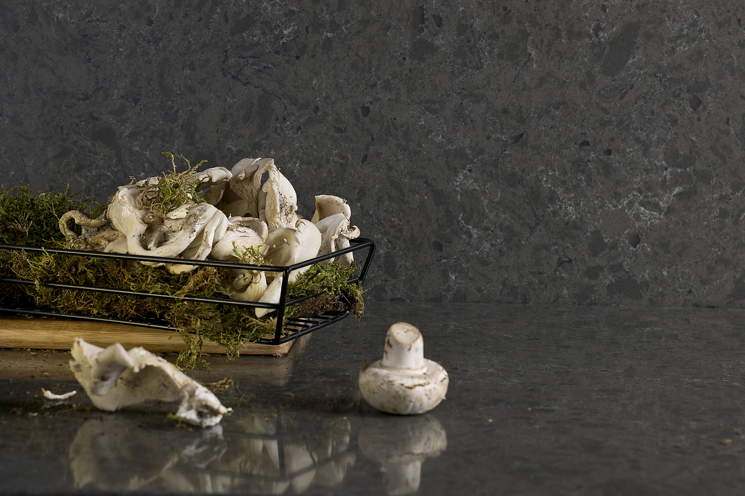 Бабилон 4558 / Babilon 4558