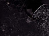 5100 Vanilla Noir 5100 Vanilla Noir