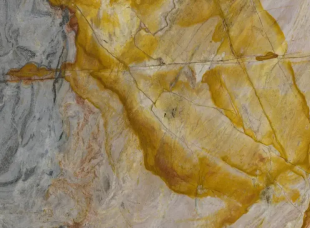 Колибри Руби \ Colibri Rubi