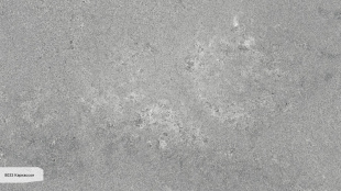 Каркассон 8033 (матовый)