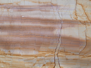 Тик Вуд / Teak Wood 20 мм