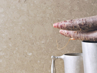 4230 Shitake 20 мм