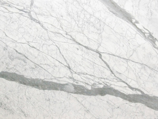 Статуарио Венато / Statuario Venato 20 мм