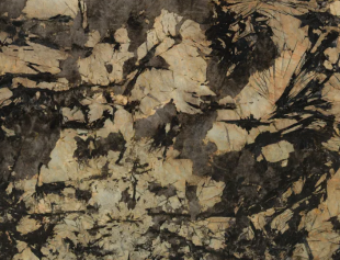 Патагония Блэк / Patagonia Black