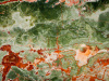 Onice Verde Pakistano Плитка Onice Verde Pakistano Плитка