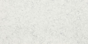 Акация / Acacia