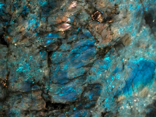 Лемуриан Супрем / Lemurian Supreme