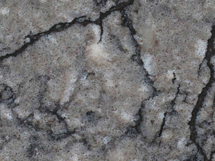 Thunder Grey BQ 8716 Плитка