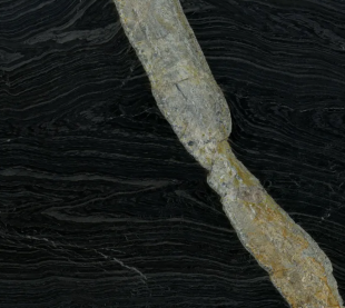 Moon Walk / Мун Волл