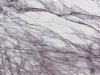 Лилак / Lilac Лилак / Lilac