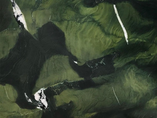 Avokatus / Авокатус (кожа) 20 мм