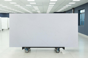 Muse C5445 / глянцевый