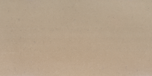 Болетус / Boletus 20 мм